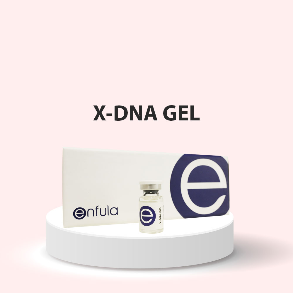 X-DNA Gel